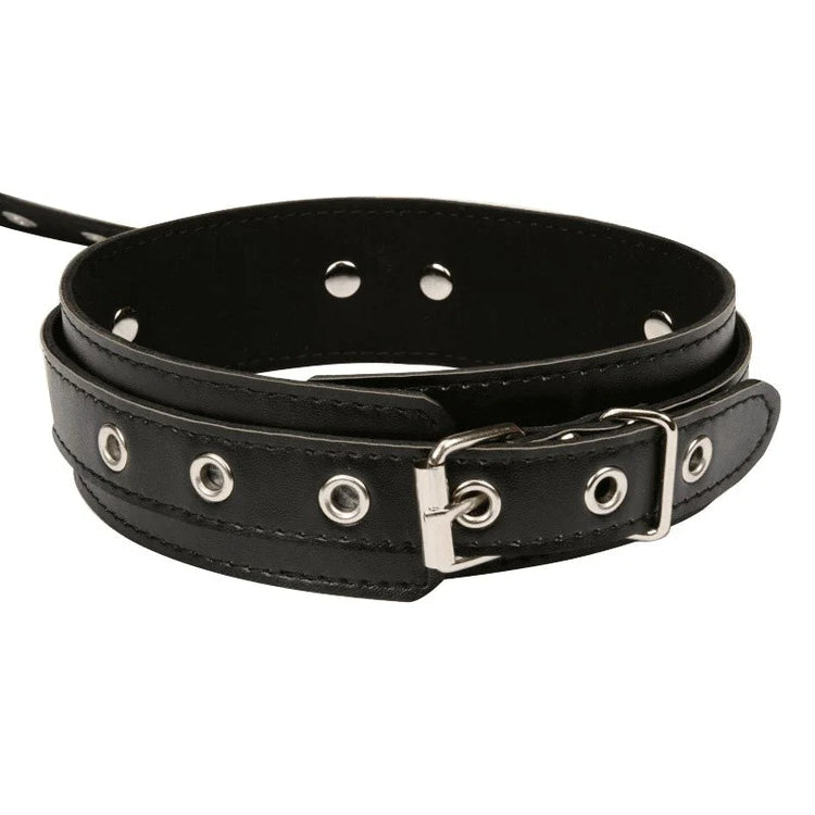 SPIRIT HARNESS