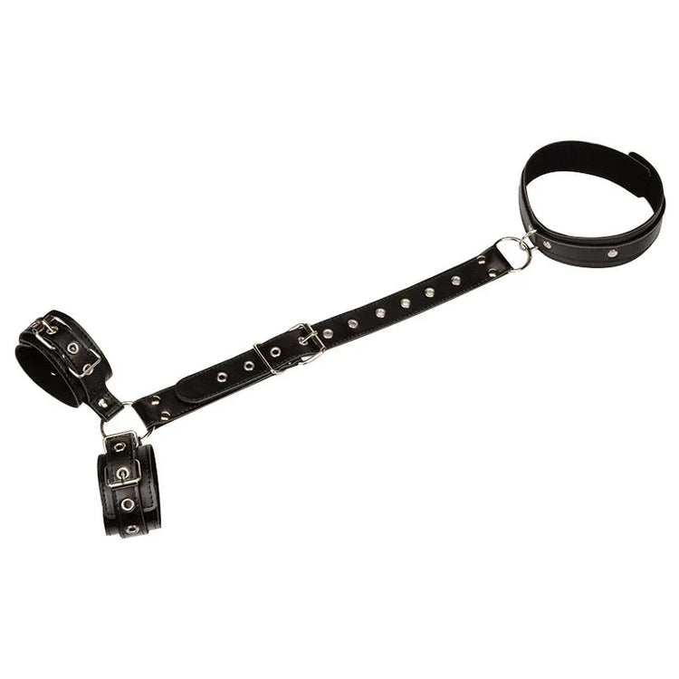SPIRIT HARNESS