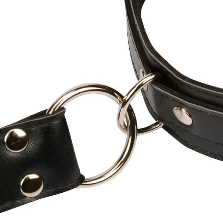 SPIRIT HARNESS